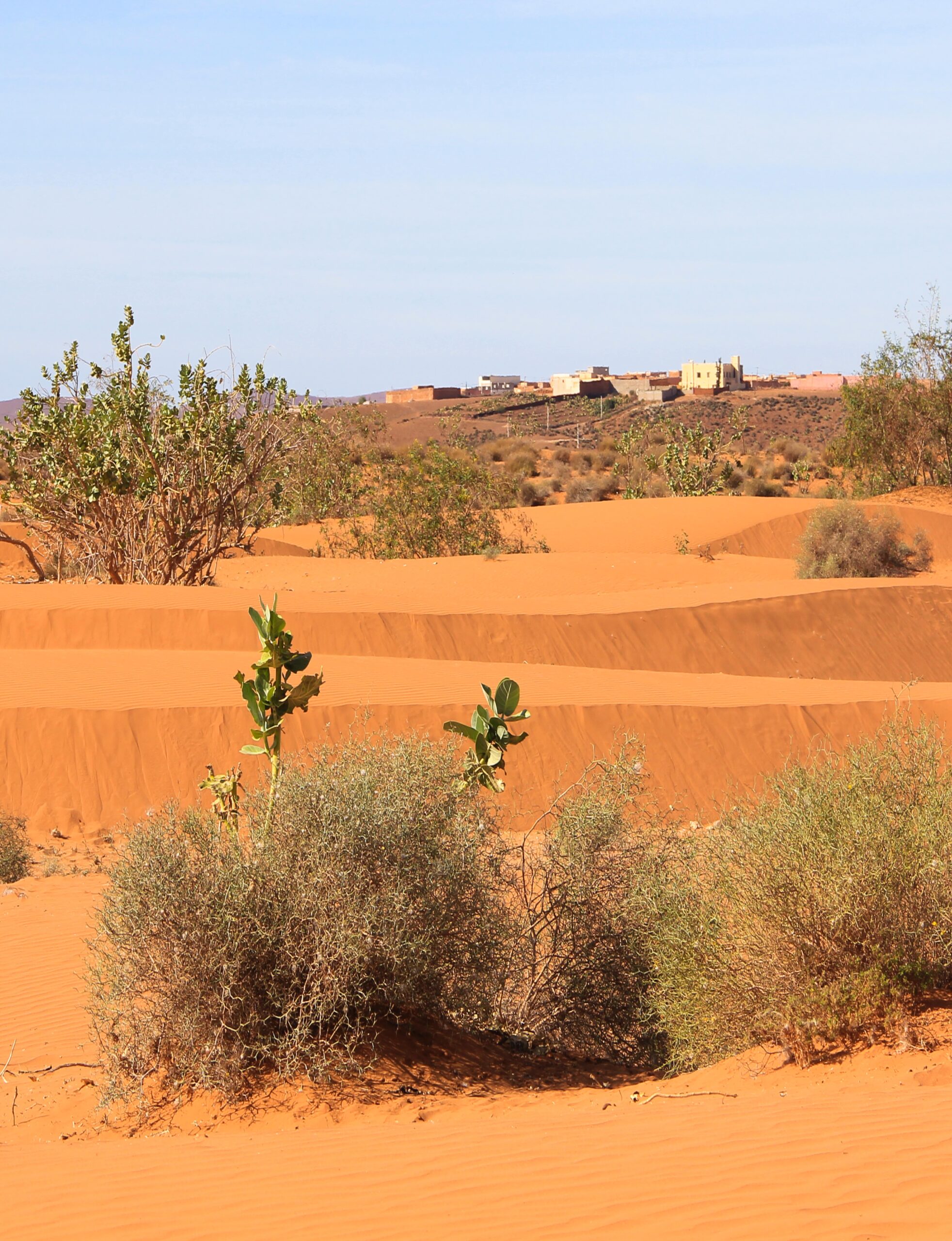 Mała Sahara